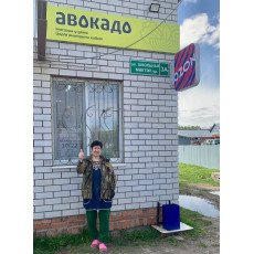 Отзыв нашего партнера "Авокадо"