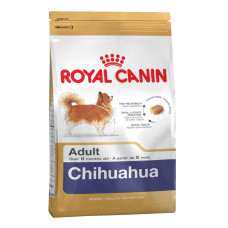 Чихуахуа 3 кг Чихуахуа 3 кг