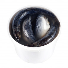 Сельдь Тихоокеанская Вкусное Море Олюторская Слабосоленая Сельдь Тихоокеанская Вкусное Море Олюторская Слабосоленая