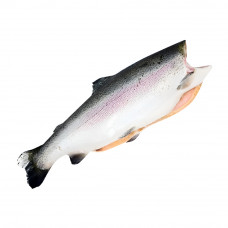 Форель Потрошеная без Головы Замороженная Армения 1,8-2,7кг