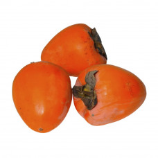 Хурма Шиш Бурун