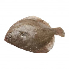 Камбала Палтусовидная Неразделанная Размер М