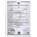 Груша Конференция Груша Конференция