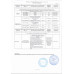 Картофель Новый Урожай 2025
