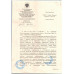 Зелень Кинза 30г