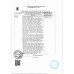 Макаронные Изделия Гнезда Фетучини 400г Сладкая Жизнь