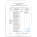 Блинчики с Жюльеном 160г Swlife Fresh